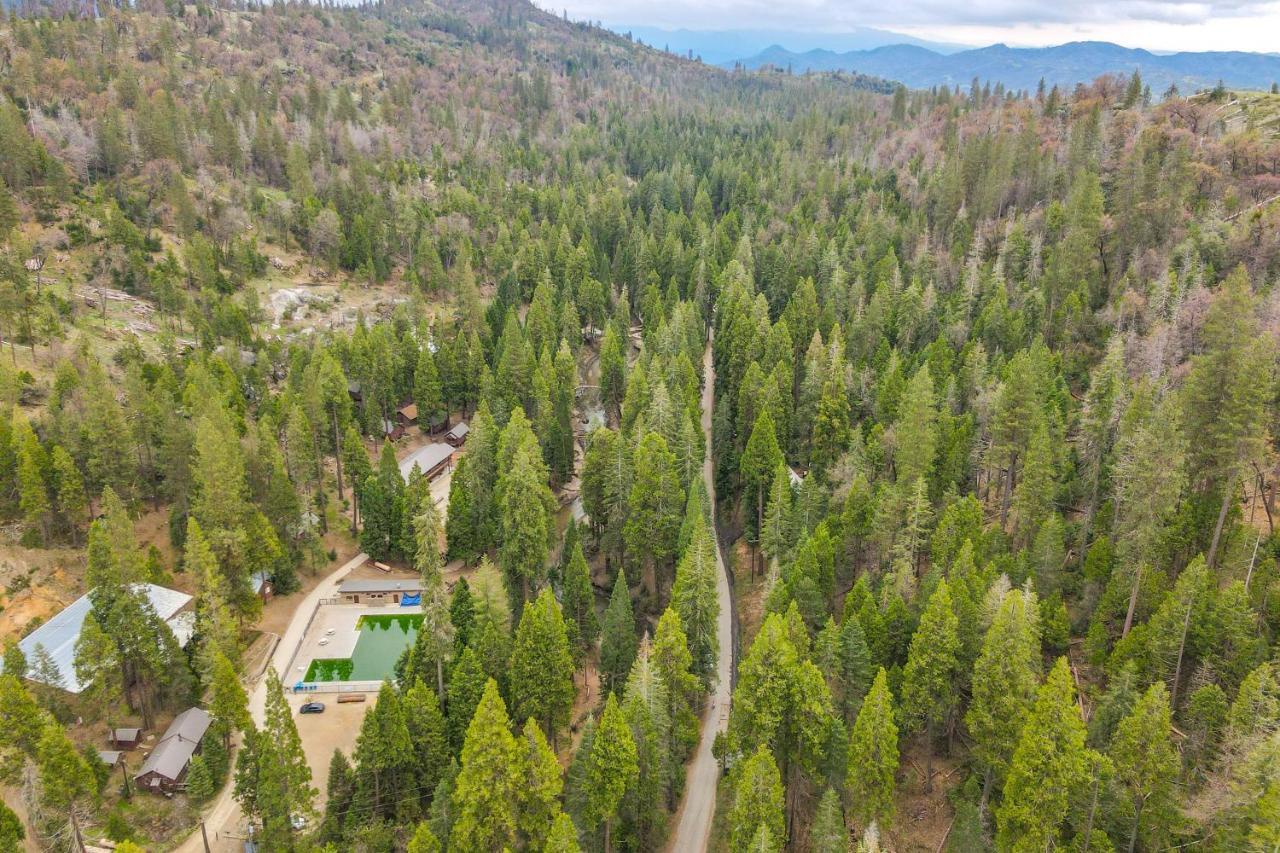 Enchanting Creekside Cabin Near Kings Canyon Park! Badger Exterior photo